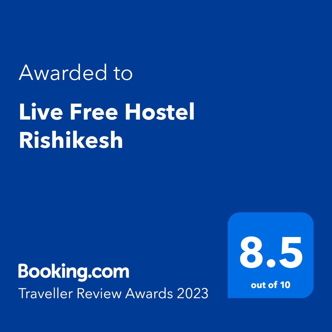 Common area at Live Free Hostels